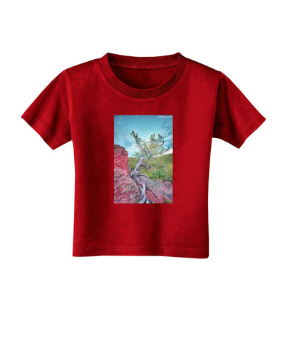 CO Cliffside Tree Toddler T-Shirt Dark-Toddler T-Shirt-TooLoud-Red-2T-Davson Sales