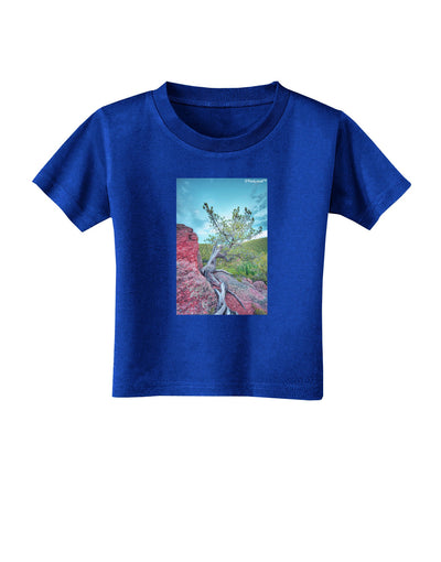 CO Cliffside Tree Toddler T-Shirt Dark-Toddler T-Shirt-TooLoud-Royal-Blue-2T-Davson Sales