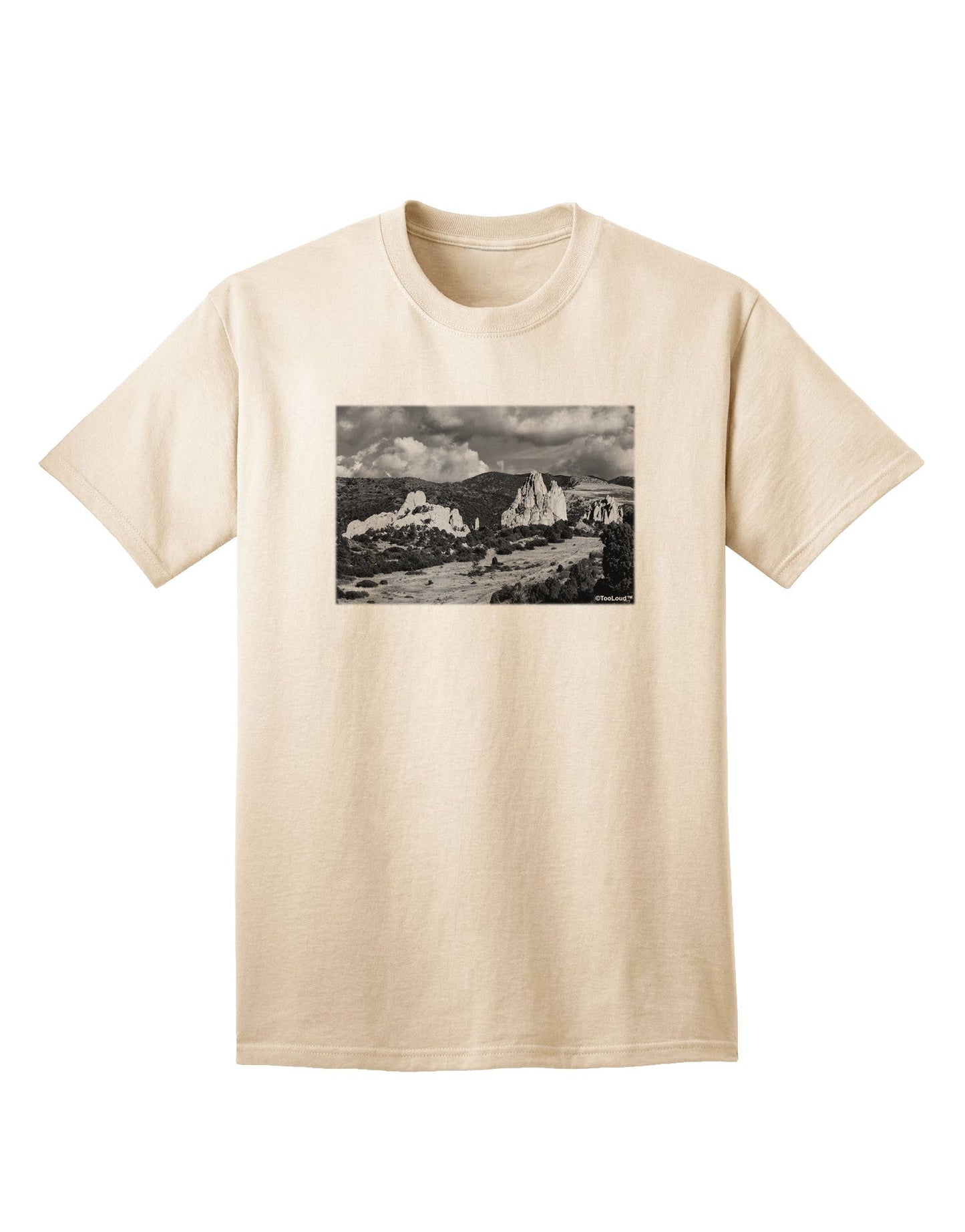 CO Mountain Forest Scene - Premium Adult T-Shirt Collection-Mens T-shirts-TooLoud-Natural-Small-Davson Sales
