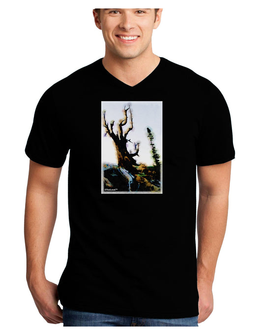 CO Mountain Scenery Watercolor Adult Dark V-Neck T-Shirt-TooLoud-Black-Small-Davson Sales