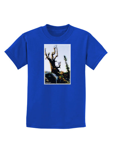 CO Mountain Scenery Watercolor Childrens Dark T-Shirt-Childrens T-Shirt-TooLoud-Royal-Blue-X-Small-Davson Sales