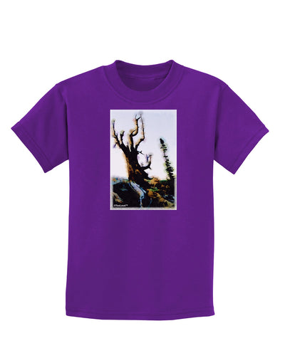 CO Mountain Scenery Watercolor Childrens Dark T-Shirt-Childrens T-Shirt-TooLoud-Purple-X-Small-Davson Sales