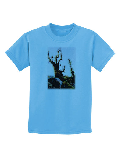 CO Mountain Scenery Watercolor Childrens T-Shirt-Childrens T-Shirt-TooLoud-Aquatic-Blue-X-Small-Davson Sales