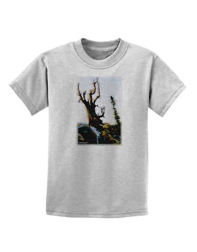 CO Mountain Scenery Watercolor Childrens T-Shirt-Childrens T-Shirt-TooLoud-AshGray-X-Small-Davson Sales