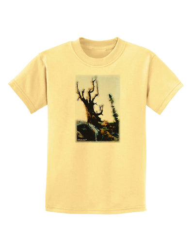 CO Mountain Scenery Watercolor Childrens T-Shirt-Childrens T-Shirt-TooLoud-Daffodil-Yellow-X-Small-Davson Sales