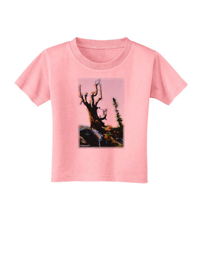 CO Mountain Scenery Watercolor Toddler T-Shirt-Toddler T-Shirt-TooLoud-Candy-Pink-2T-Davson Sales