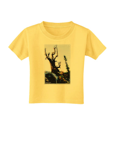 CO Mountain Scenery Watercolor Toddler T-Shirt-Toddler T-Shirt-TooLoud-Yellow-2T-Davson Sales