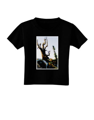 CO Mountain Scenery Watercolor Toddler T-Shirt Dark-Toddler T-Shirt-TooLoud-Black-2T-Davson Sales