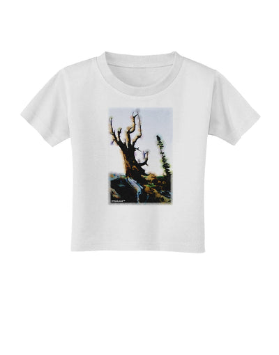 CO Mountain Scenery Watercolor Toddler T-Shirt-Toddler T-Shirt-TooLoud-White-2T-Davson Sales