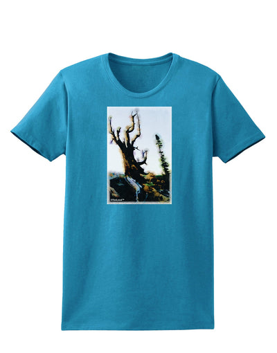 CO Mountain Scenery Watercolor Womens Dark T-Shirt-TooLoud-Turquoise-X-Small-Davson Sales