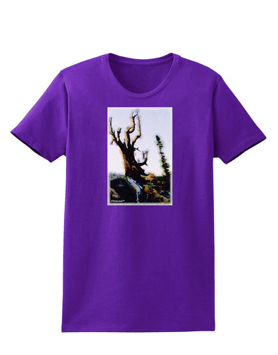 CO Mountain Scenery Watercolor Womens Dark T-Shirt-TooLoud-Purple-X-Small-Davson Sales