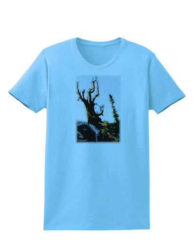 CO Mountain Scenery Watercolor Womens T-Shirt-Womens T-Shirt-TooLoud-Aquatic-Blue-X-Small-Davson Sales