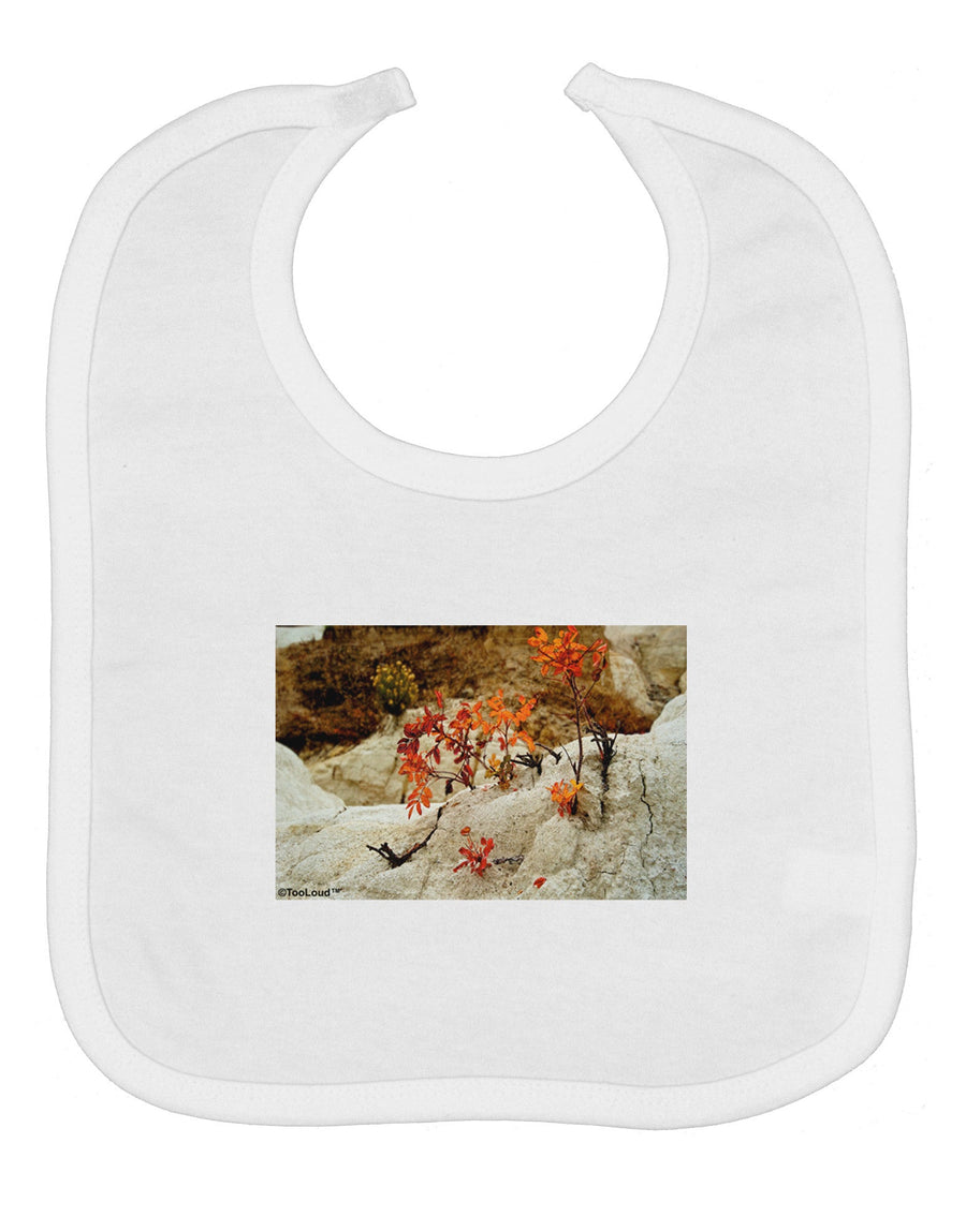 CO Painted Mines Baby Bib