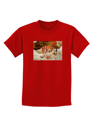 CO Painted Mines Childrens Dark T-Shirt-Childrens T-Shirt-TooLoud-Red-X-Small-Davson Sales