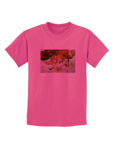 CO Painted Mines Childrens T-Shirt-Childrens T-Shirt-TooLoud-Sangria-X-Small-Davson Sales