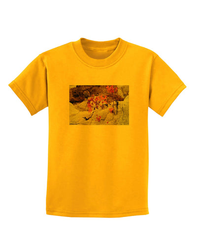 CO Painted Mines Childrens T-Shirt-Childrens T-Shirt-TooLoud-Gold-X-Small-Davson Sales