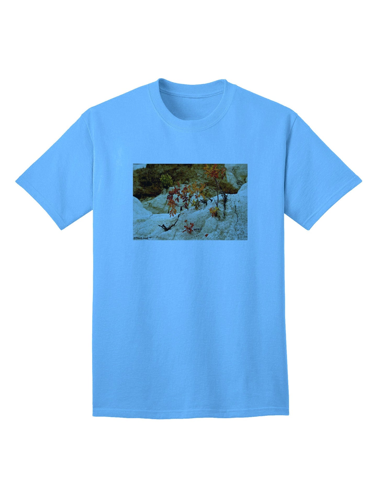 CO Painted Mines - Premium Adult T-Shirt Collection-Mens T-shirts-TooLoud-Aquatic-Blue-Small-Davson Sales