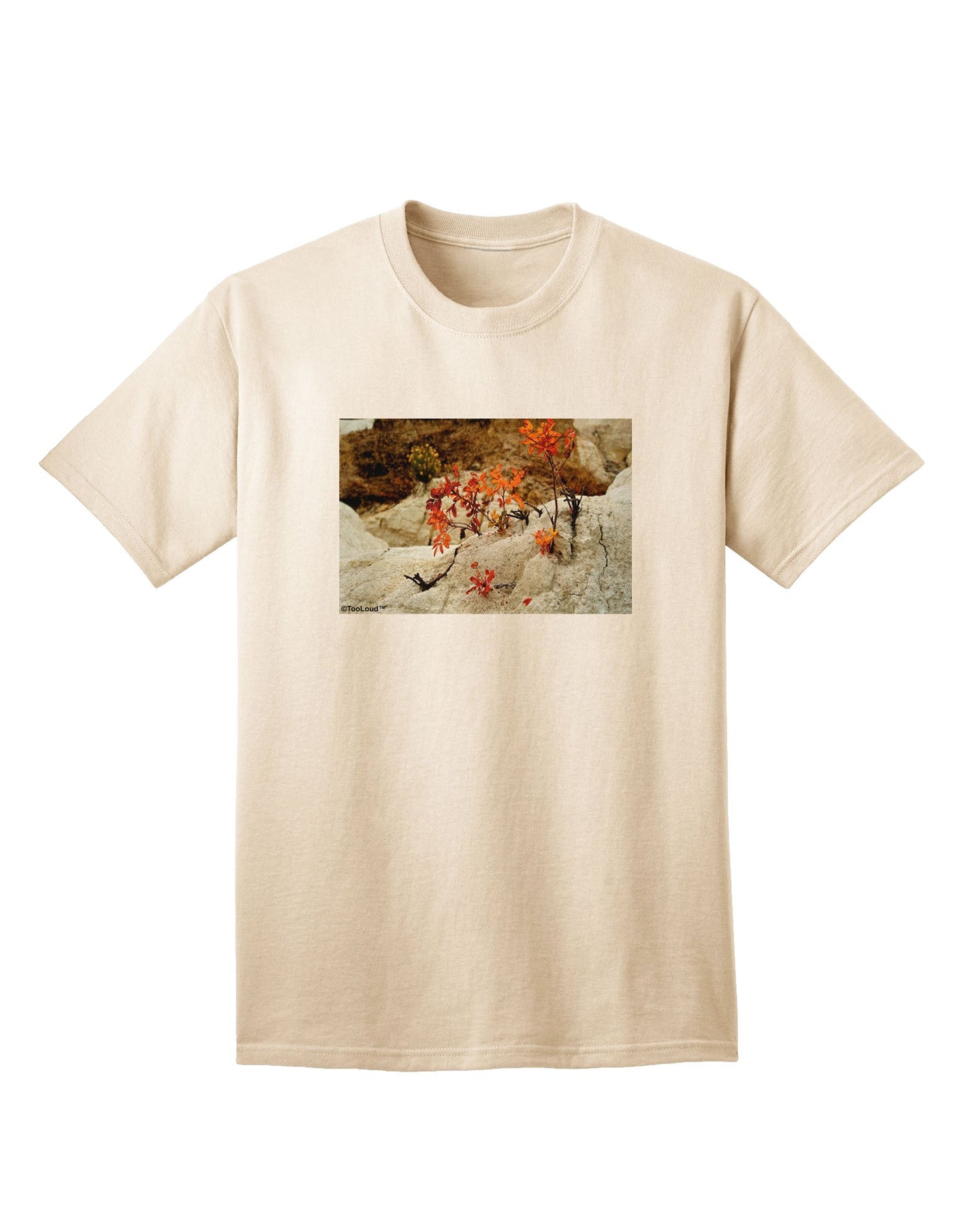 CO Painted Mines - Premium Adult T-Shirt Collection-Mens T-shirts-TooLoud-Natural-Small-Davson Sales