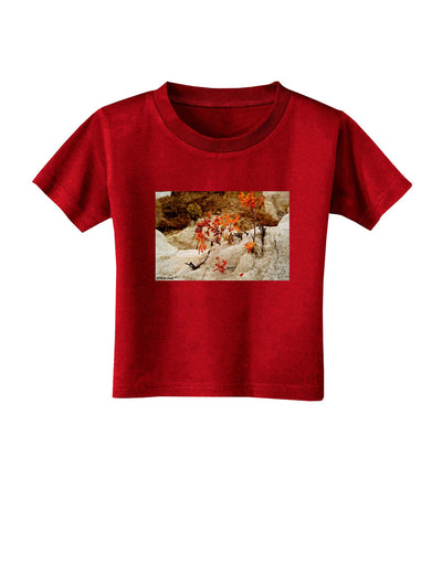 CO Painted Mines Toddler T-Shirt Dark-Toddler T-Shirt-TooLoud-Red-2T-Davson Sales