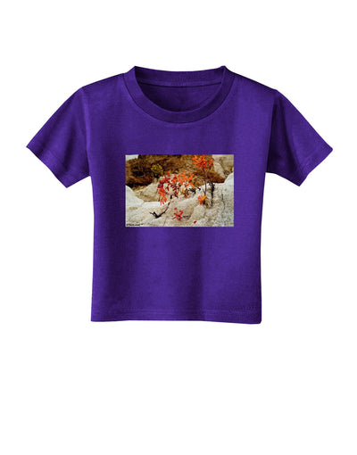 CO Painted Mines Toddler T-Shirt Dark-Toddler T-Shirt-TooLoud-Purple-2T-Davson Sales