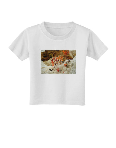 CO Painted Mines Toddler T-Shirt-Toddler T-Shirt-TooLoud-White-2T-Davson Sales