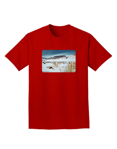 CO Snow Scene Adult Dark T-Shirt-Mens T-Shirt-TooLoud-Red-Small-Davson Sales