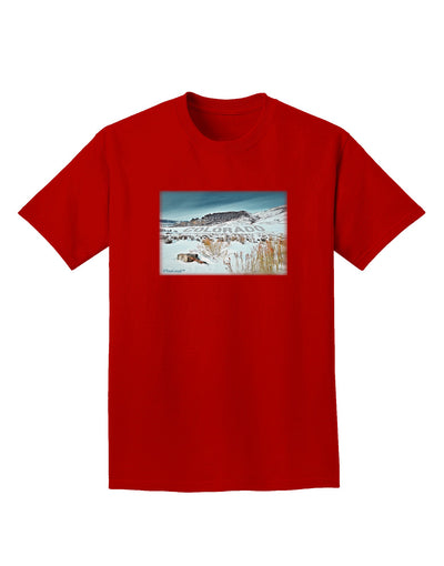 CO Snow Scene Text Adult Dark T-Shirt-Mens T-Shirt-TooLoud-Red-Small-Davson Sales