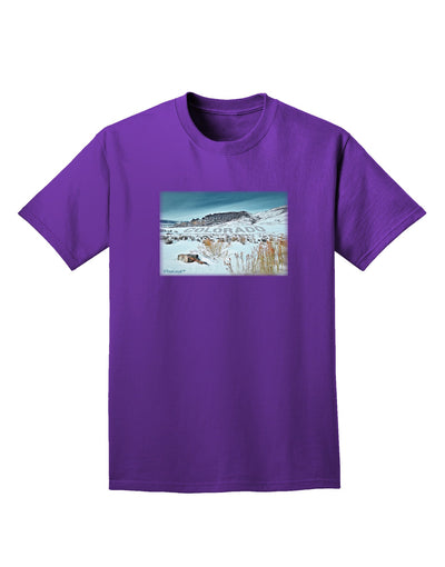CO Snow Scene Text Adult Dark T-Shirt-Mens T-Shirt-TooLoud-Purple-Small-Davson Sales