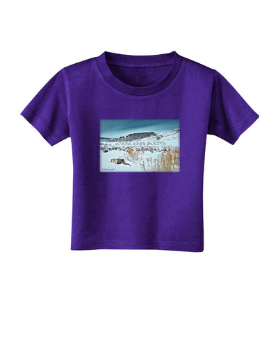 CO Snow Scene Text Toddler T-Shirt Dark-Toddler T-Shirt-TooLoud-Purple-2T-Davson Sales