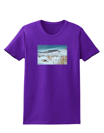 CO Snow Scene Text Womens Dark T-Shirt-Womens T-Shirt-TooLoud-Purple-X-Small-Davson Sales