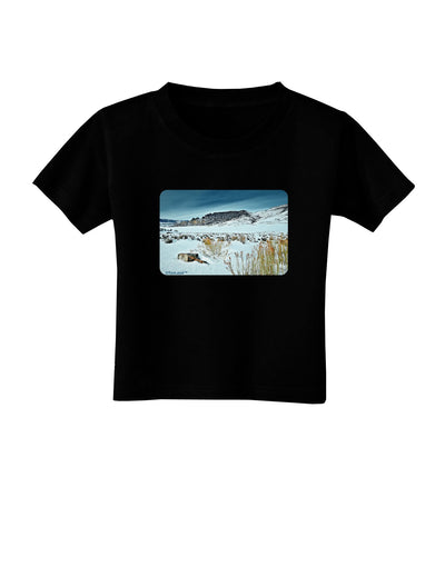 CO Snow Scene Toddler T-Shirt Dark-Toddler T-Shirt-TooLoud-Black-2T-Davson Sales