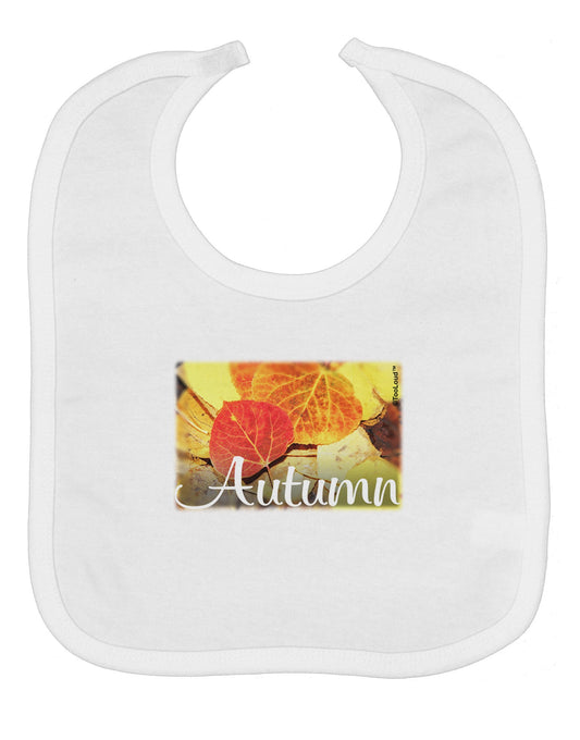Colorado - Autumn Text Baby Bib