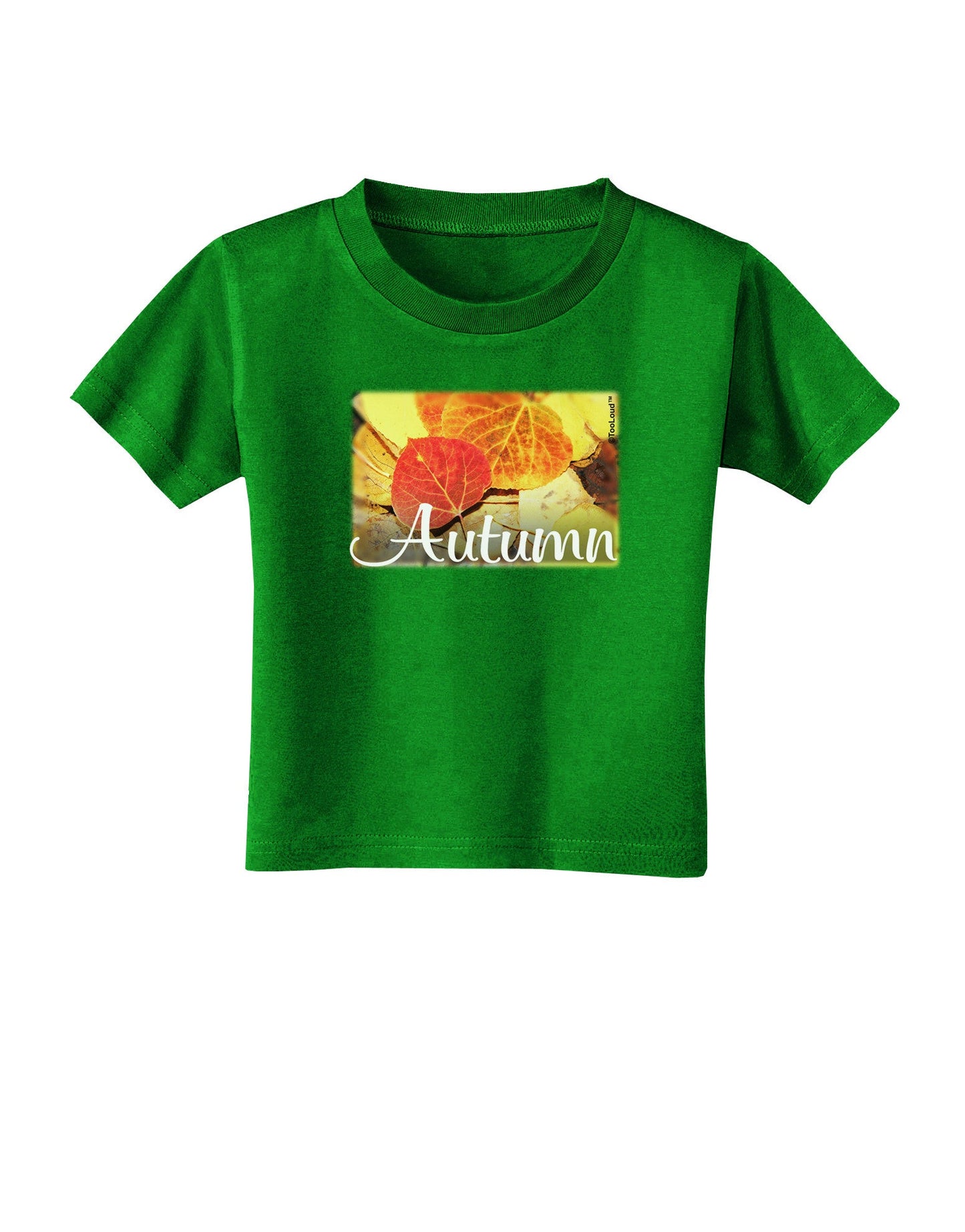Colorado - Autumn Text Toddler T-Shirt Dark-Toddler T-Shirt-TooLoud-Clover-Green-2T-Davson Sales