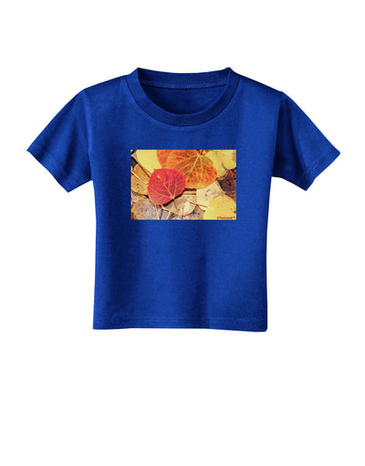 Colorado - Autumn Toddler T-Shirt Dark-Toddler T-Shirt-TooLoud-Royal-Blue-2T-Davson Sales