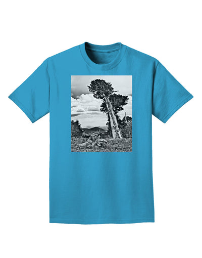 Colorado Landscape Monochrome Adult Dark T-Shirt-Mens T-Shirt-TooLoud-Turquoise-Small-Davson Sales