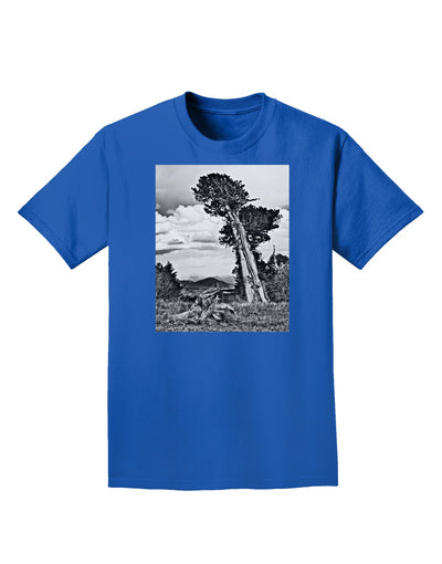 Colorado Landscape Monochrome Adult Dark T-Shirt-Mens T-Shirt-TooLoud-Royal-Blue-Small-Davson Sales