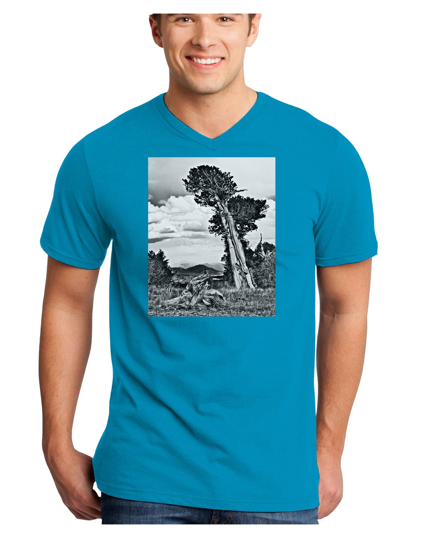 Colorado Landscape Monochrome Adult Dark V-Neck T-Shirt-TooLoud-Turquoise-Small-Davson Sales