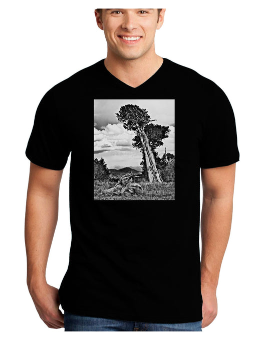 Colorado Landscape Monochrome Adult Dark V-Neck T-Shirt-TooLoud-Black-Small-Davson Sales