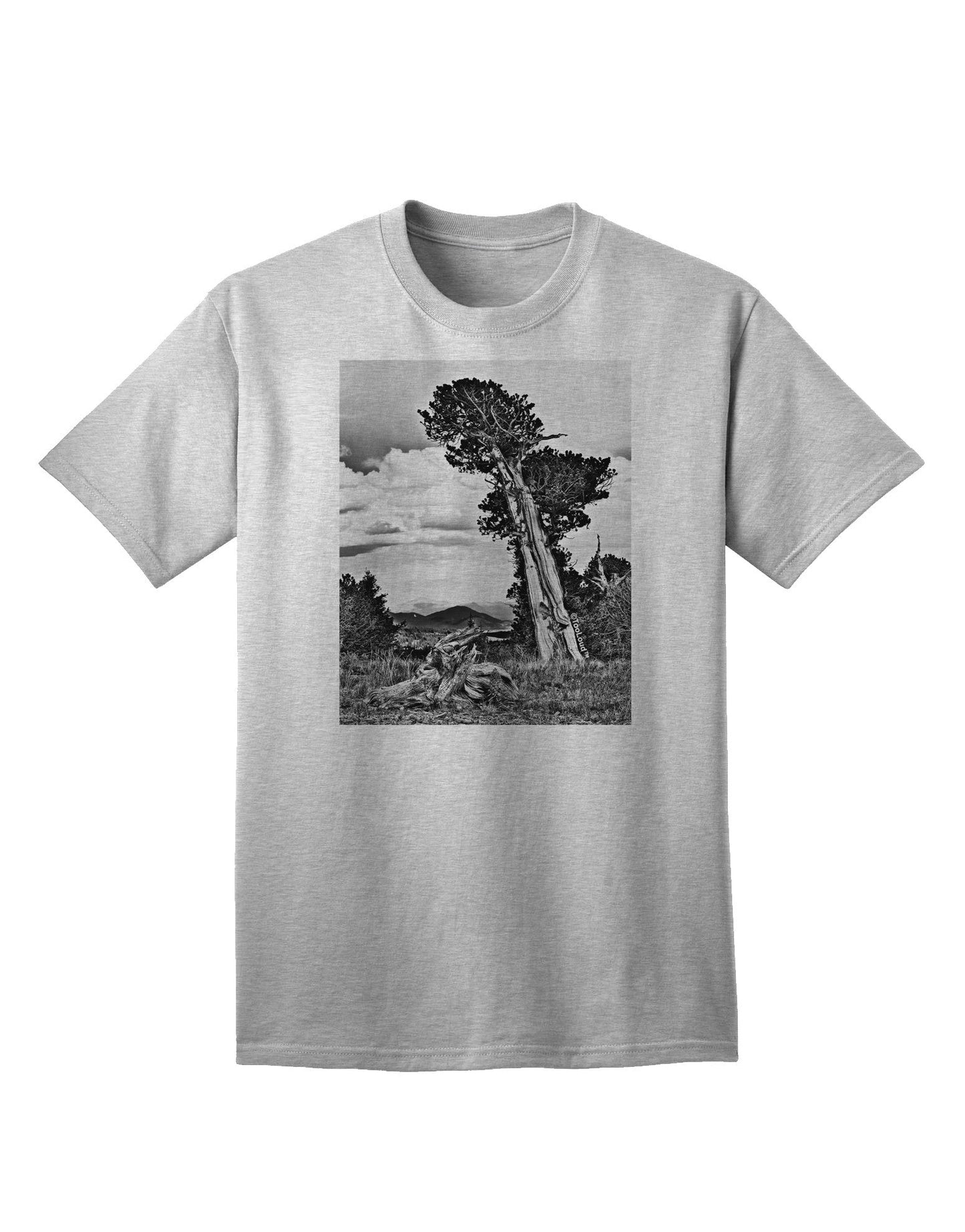 Colorado Landscape Monochrome Adult T-Shirt-Mens T-Shirt-TooLoud-AshGray-Small-Davson Sales