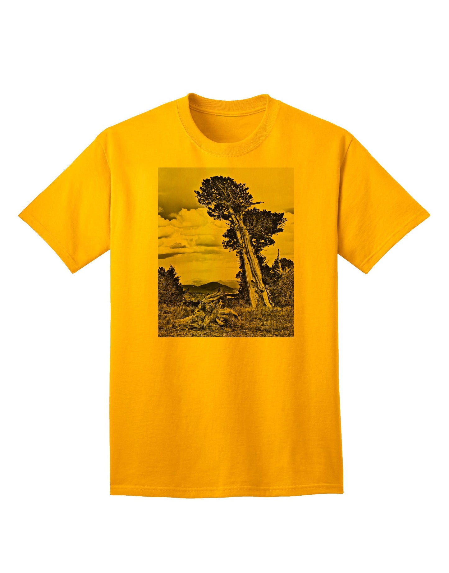 Colorado Landscape Monochrome Adult T-Shirt-Mens T-Shirt-TooLoud-Gold-Small-Davson Sales
