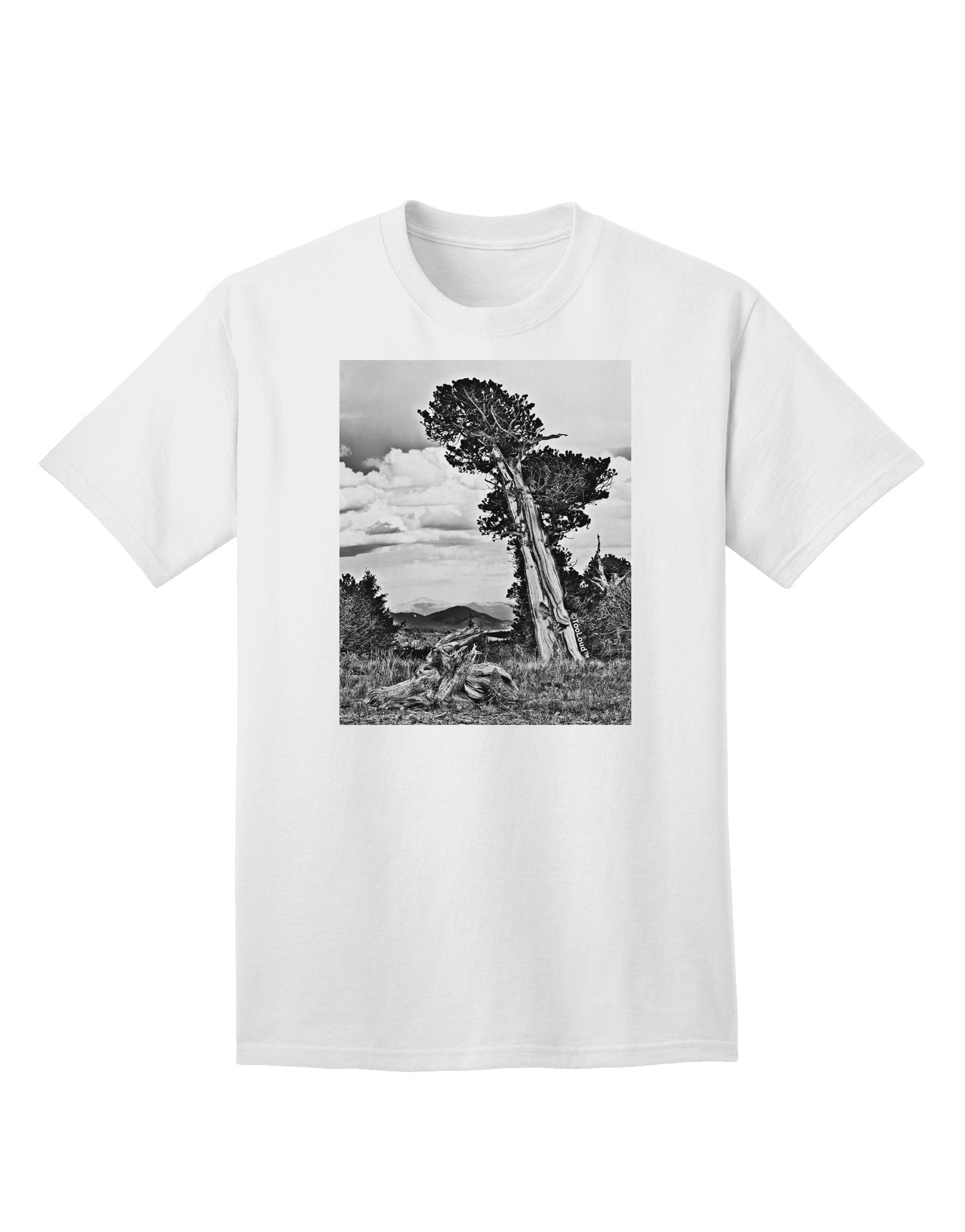 Colorado Landscape Monochrome Adult T-Shirt-Mens T-Shirt-TooLoud-White-Small-Davson Sales