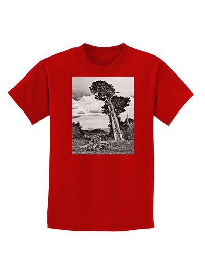 Colorado Landscape Monochrome Childrens Dark T-Shirt-Childrens T-Shirt-TooLoud-Red-X-Small-Davson Sales