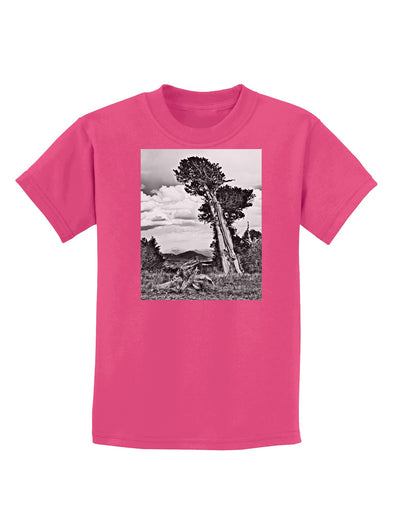 Colorado Landscape Monochrome Childrens Dark T-Shirt-Childrens T-Shirt-TooLoud-Sangria-X-Small-Davson Sales