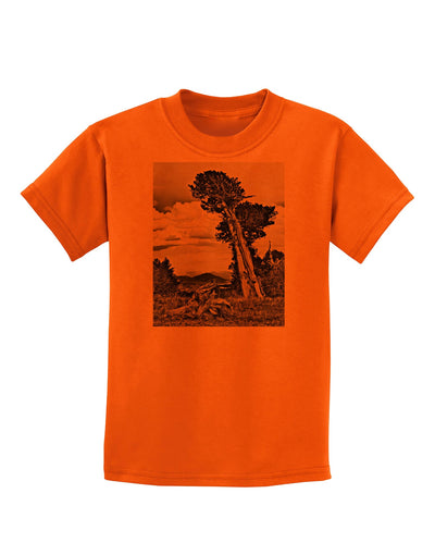 Colorado Landscape Monochrome Childrens T-Shirt-Childrens T-Shirt-TooLoud-Orange-X-Small-Davson Sales