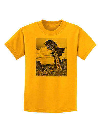 Colorado Landscape Monochrome Childrens T-Shirt-Childrens T-Shirt-TooLoud-Gold-X-Small-Davson Sales