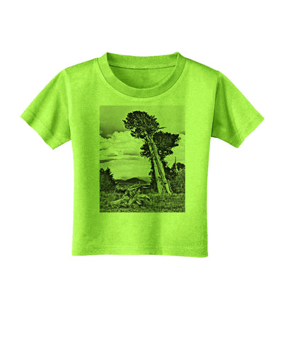 Colorado Landscape Monochrome Toddler T-Shirt-Toddler T-Shirt-TooLoud-Lime-Green-2T-Davson Sales