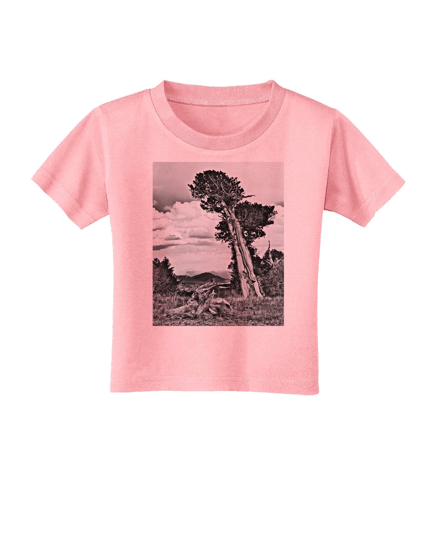 Colorado Landscape Monochrome Toddler T-Shirt-Toddler T-Shirt-TooLoud-Candy-Pink-2T-Davson Sales