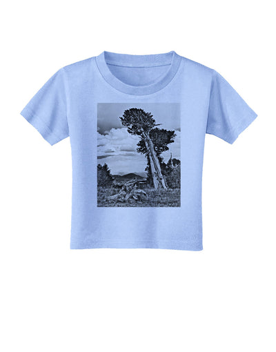 Colorado Landscape Monochrome Toddler T-Shirt-Toddler T-Shirt-TooLoud-Aquatic-Blue-2T-Davson Sales