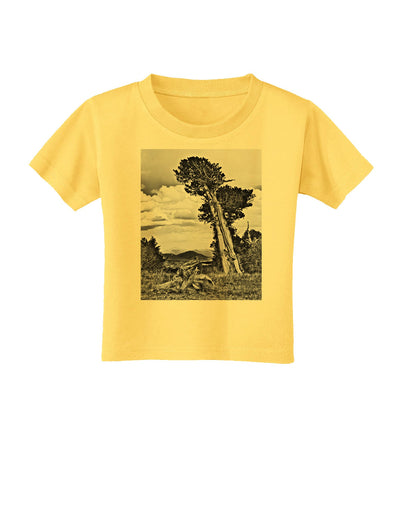 Colorado Landscape Monochrome Toddler T-Shirt-Toddler T-Shirt-TooLoud-Yellow-2T-Davson Sales