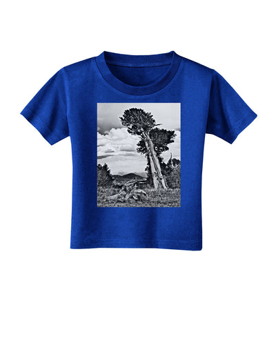 Colorado Landscape Monochrome Toddler T-Shirt Dark-Toddler T-Shirt-TooLoud-Royal-Blue-2T-Davson Sales